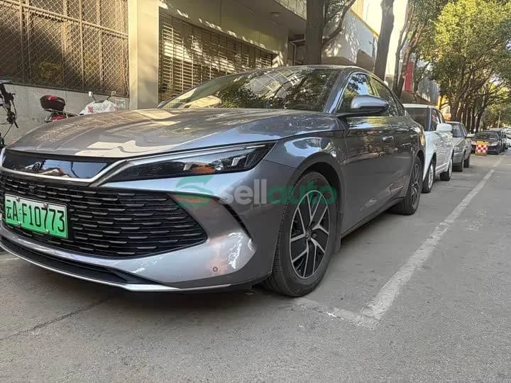 BYD L 2024