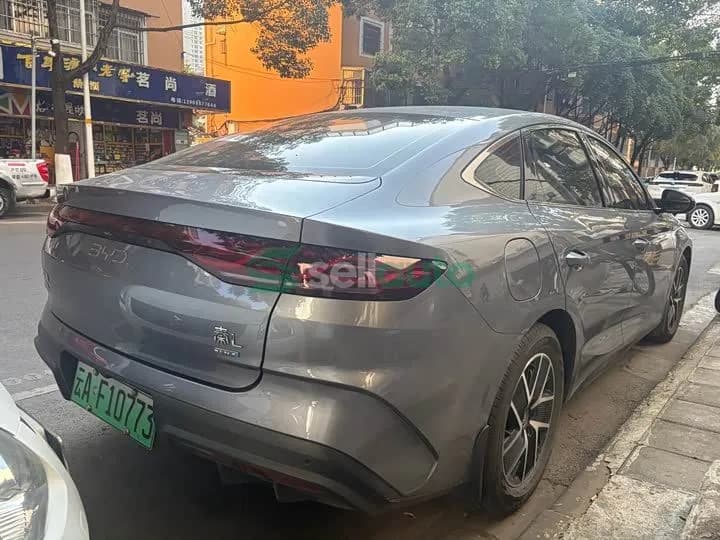 BYD L 2024 8