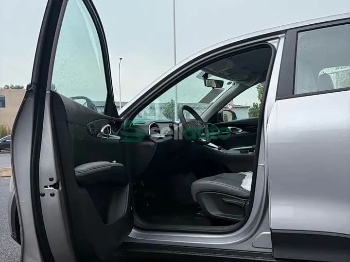 Geely Star Wish 2026 8
