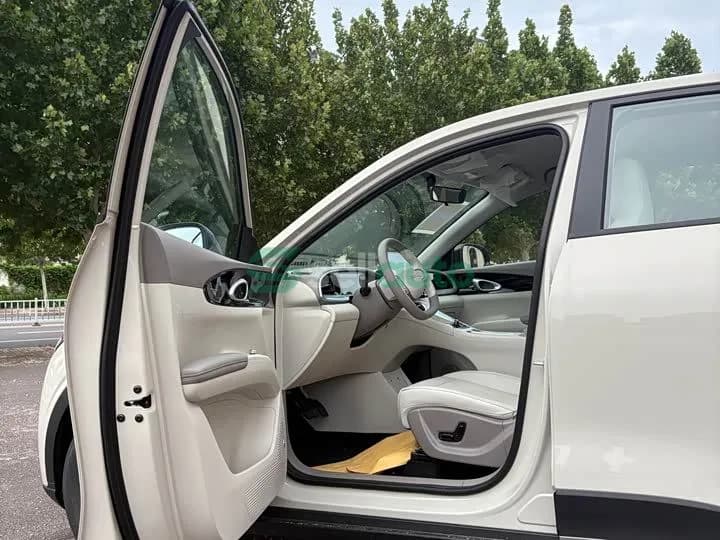 Geely Star Wish 2026 5