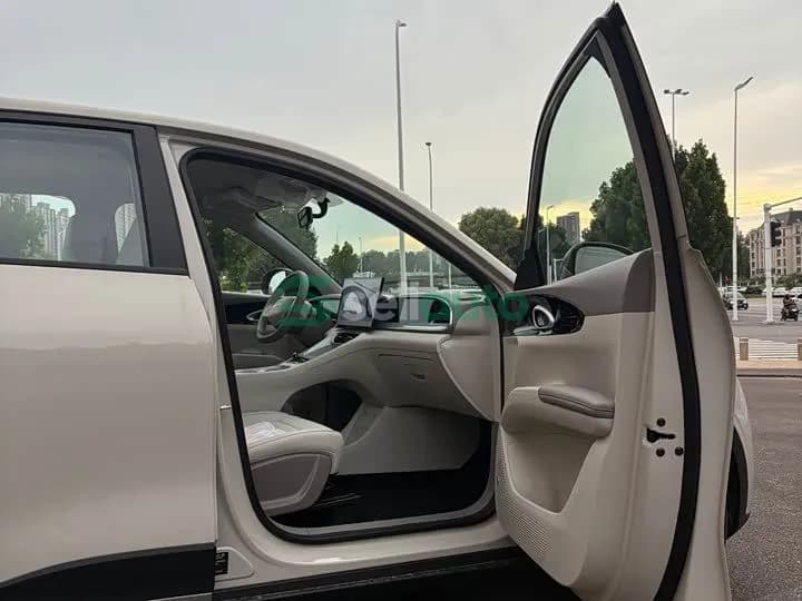 Geely Star Wish 2026 6