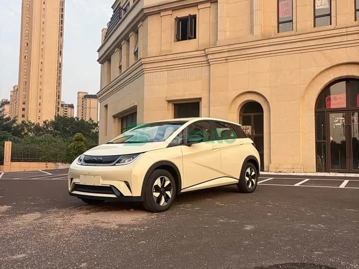 BYD Dolphin 420km 2026