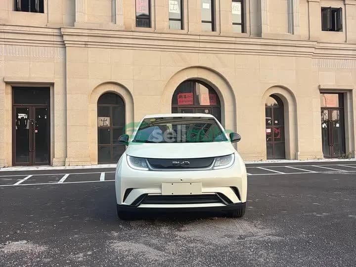 BYD Dolphin 420km 2026 2