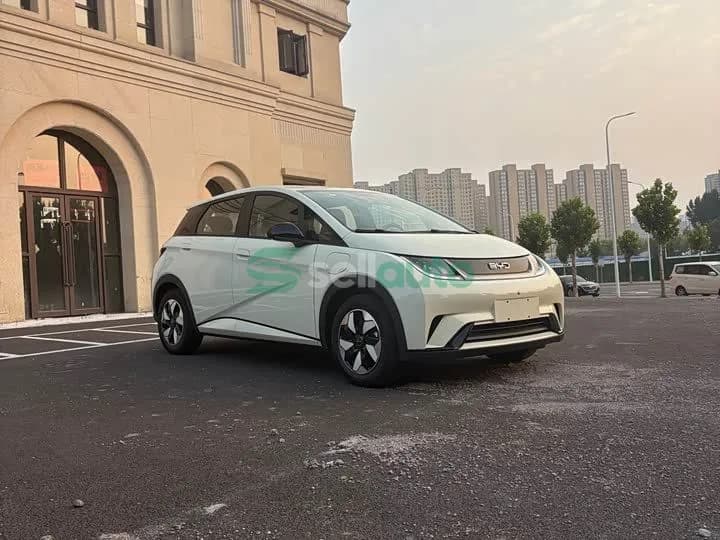 BYD Dolphin 420km 2026 3