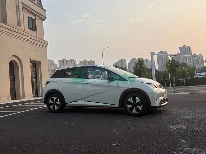 BYD Dolphin 420km 2026 4