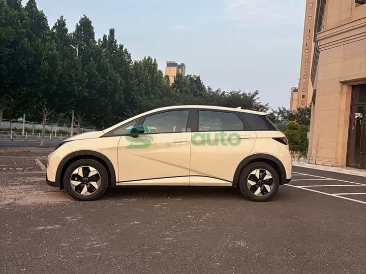 BYD Dolphin 420km 2026 5