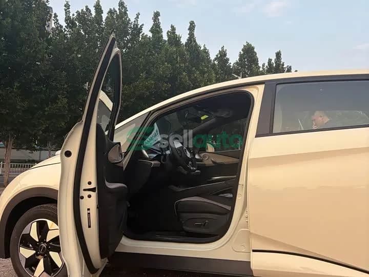 BYD Dolphin 420km 2026 6