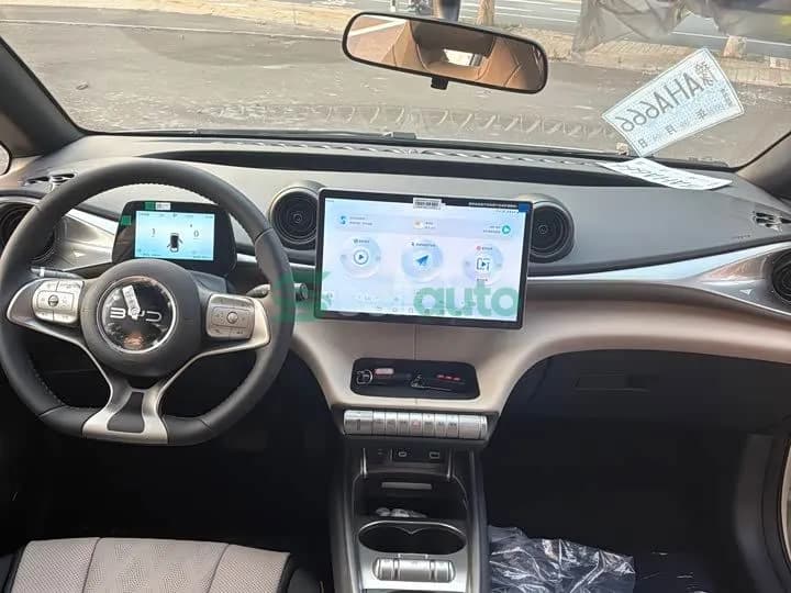 BYD Dolphin 420km 2026 7