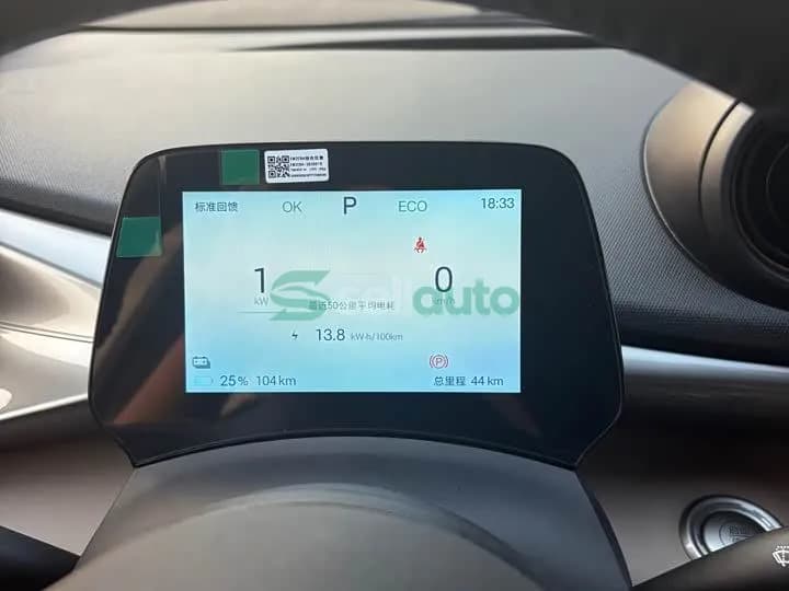 BYD Dolphin 420km 2026 8
