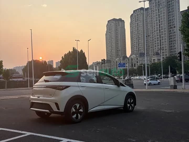BYD Dolphin 420km 2026 9