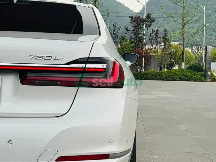 BMW 7 Series 730Li 2022 8