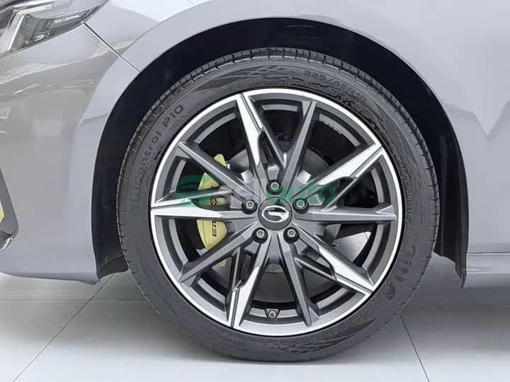 Trumpchi Shadow Leopard 270T 2024 12