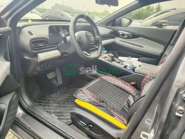 Trumpchi Shadow Leopard 270T 2024 8