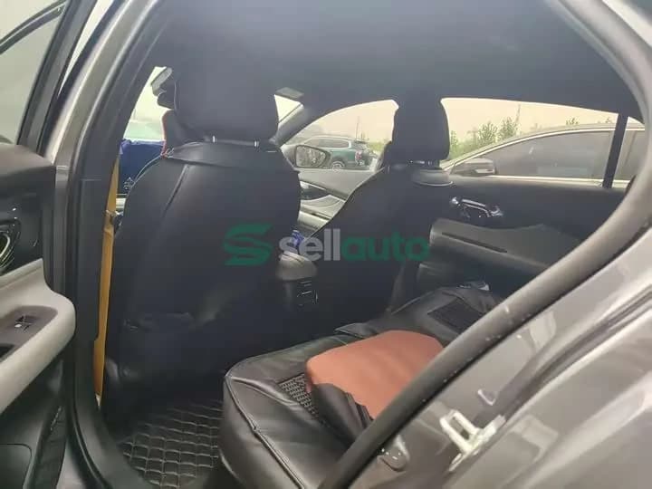 Trumpchi Shadow Leopard 270T 2024 9