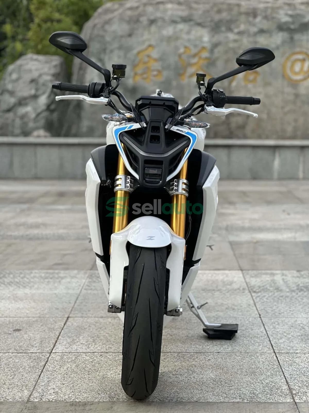 Zhangxue Motorcycles 820R 2026 4