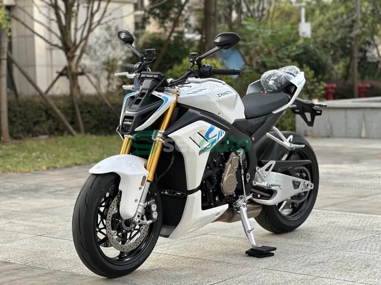 Zhangxue Motorcycles 820R 2026 7