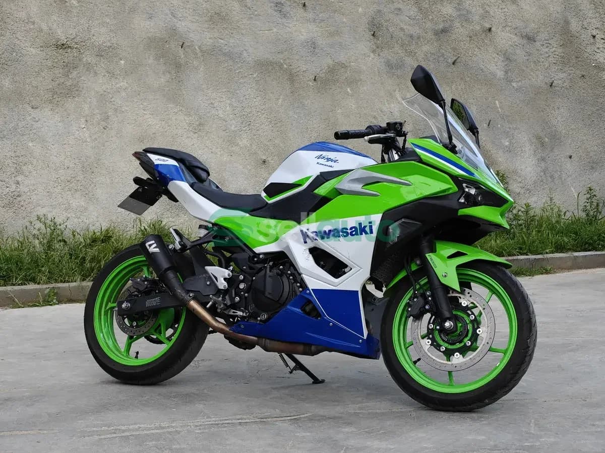 Kawasaki Ninja 500 2024